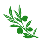 Olive tree branch vector image