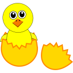 Newborn chick vector image