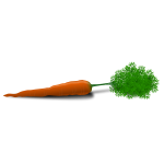 Vector image of a carrot