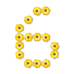 Floral number 6