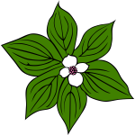 Flower with green leaves vector art