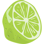 Half a lime fruit vector drawing