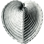 HeartCockle