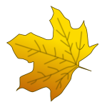 Yellow maple leaf vector image