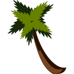 Palm tree vector image