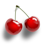 Cherries vector graphics download