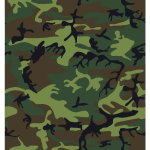 Camouflage army print vector image