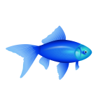 Vector illustration of blue goldfish