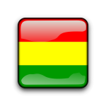 Bolivia glossy flag button