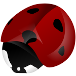 Ladybird vector