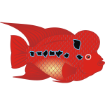 Flowerhorn Fish Vector