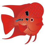 Flowerhorn Fish  Vector Image