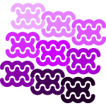 Vector illustration of purple curves pattern