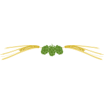 Hops and barley vector