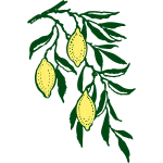 Vector clip art lemon branch