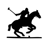 Vector illustration of polo player