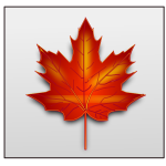 Brown maple leaf vector image