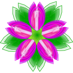 Indian Lotus vector illustration