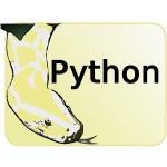 Python vector image