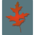 Oak Leaf vector