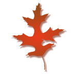 Oak leaf vector illustration