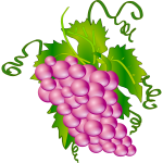 Grape vector graphics