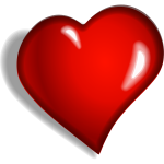 Heart vector image